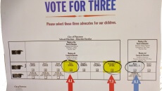 Reverse side of the mailer received by voters showing the three candidates' ballot positions.