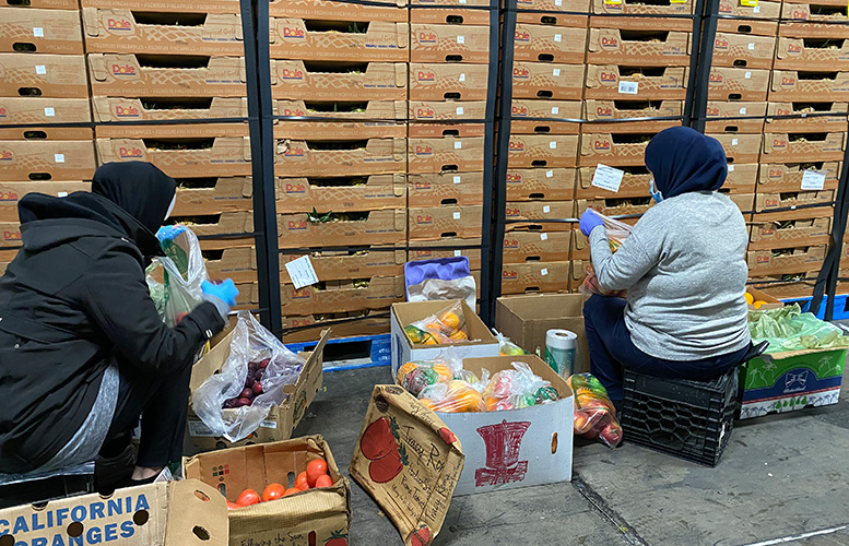 food-box-distribution